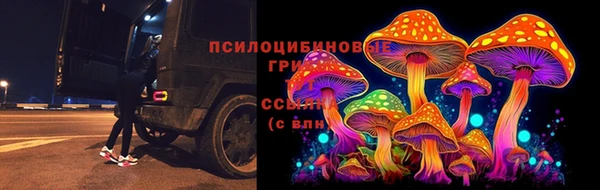 гидра Покров