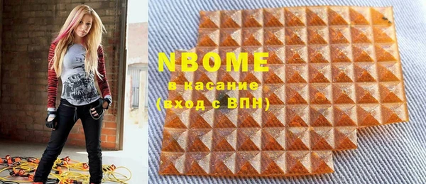индика Алексин