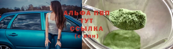 индика Алексин