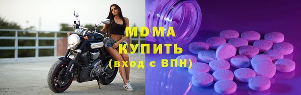 индика Алексин