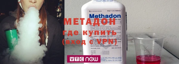 индика Алексин