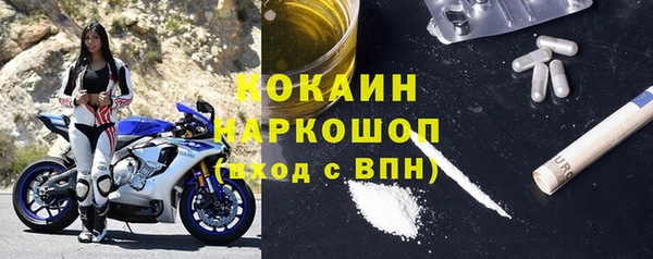 индика Алексин