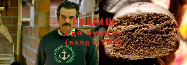 индика Алексин