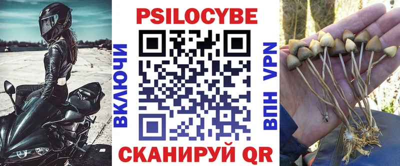 Псилоцибиновые грибы ЛСД  наркошоп  Сельцо 